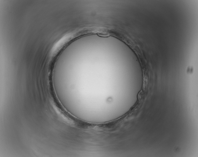 X0000113140197200909251312