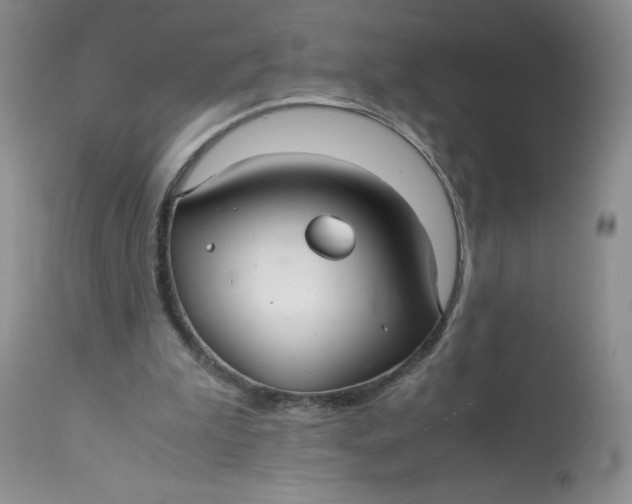 X0000113140199200909251312