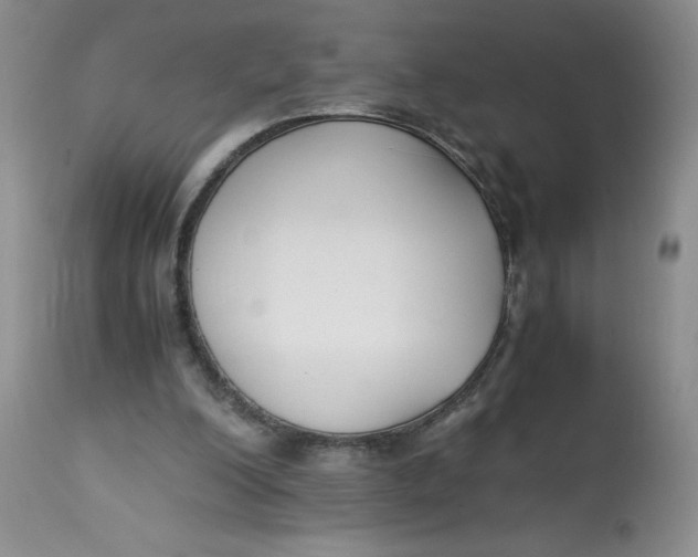 X0000113140200200909251312