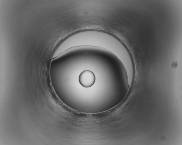 X0000113140201200909251312