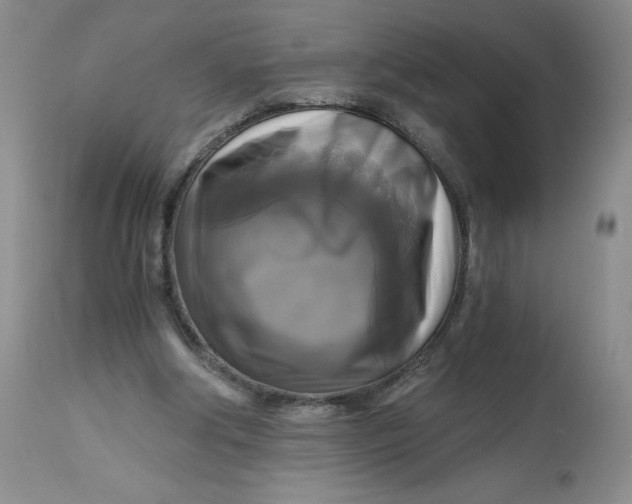 X0000113140202200909251312