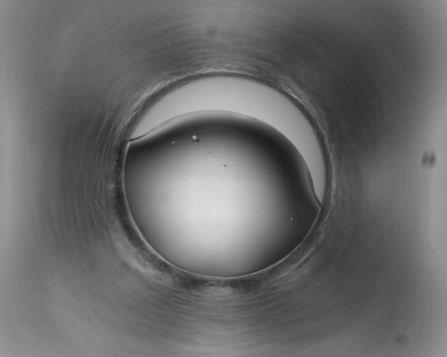 X0000113140203200909251312