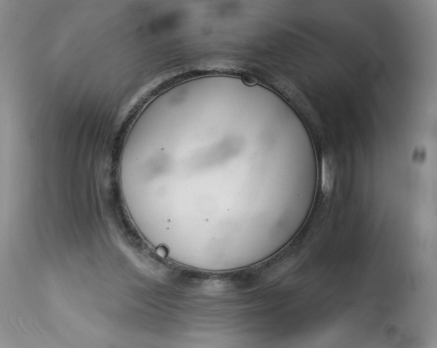 X0000113140204200909251312