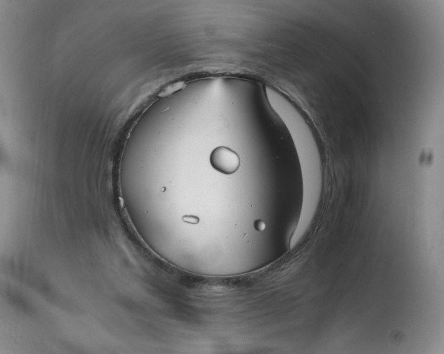 X0000113140205200909251312