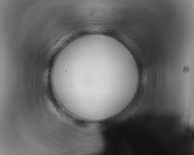 X0000113140206200909251312