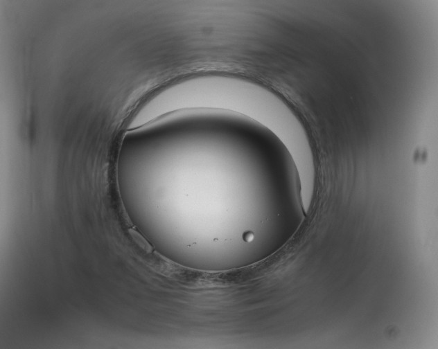 X0000113140207200909251312