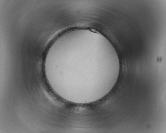 X0000113140208200909251312