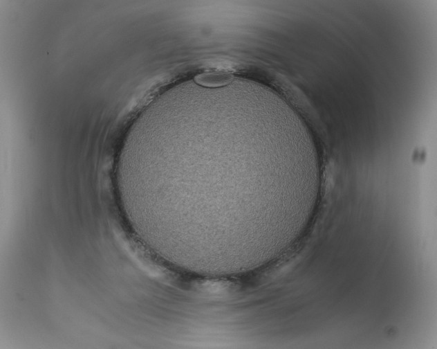 X0000113140209200909251312