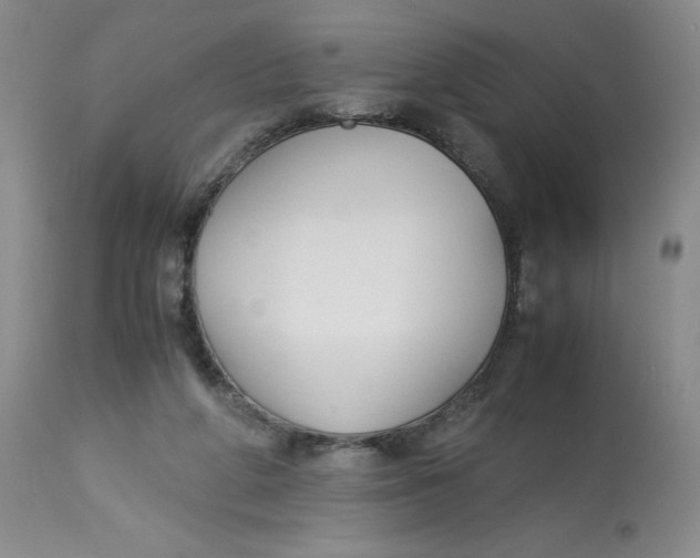 X0000113140210200909251312