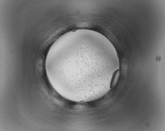 X0000113140211200909251312