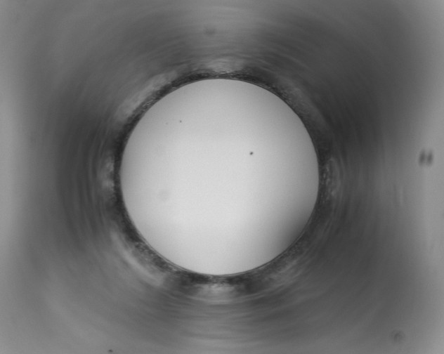 X0000113140212200909251312