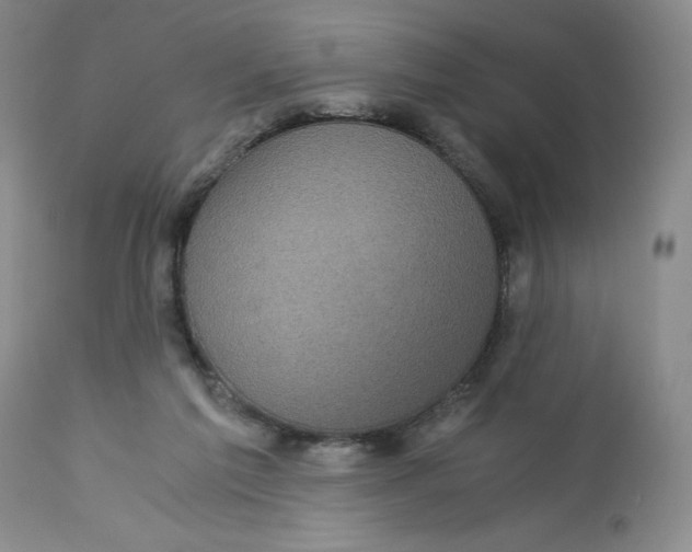 X0000113140213200909251312