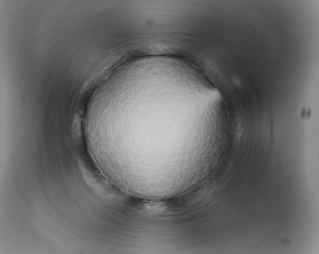 X0000113140214200909251312