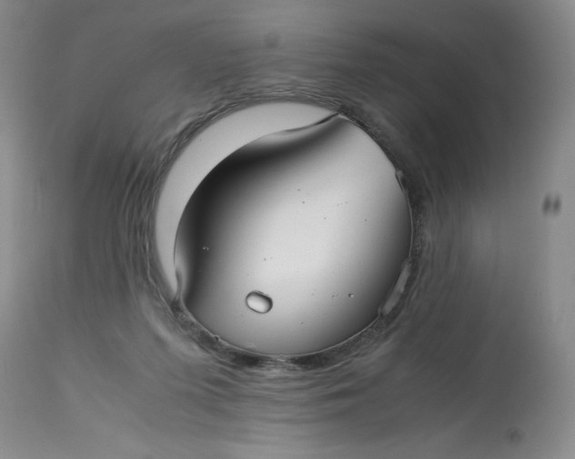 X0000113140215200909251312