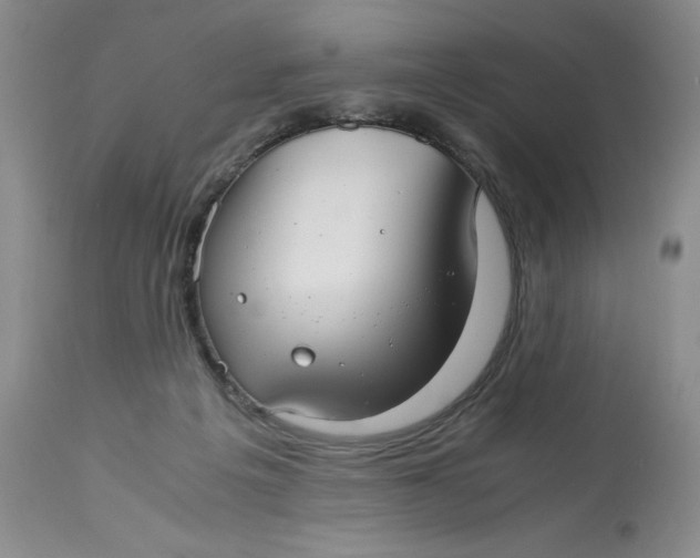 X0000113140217200909251312