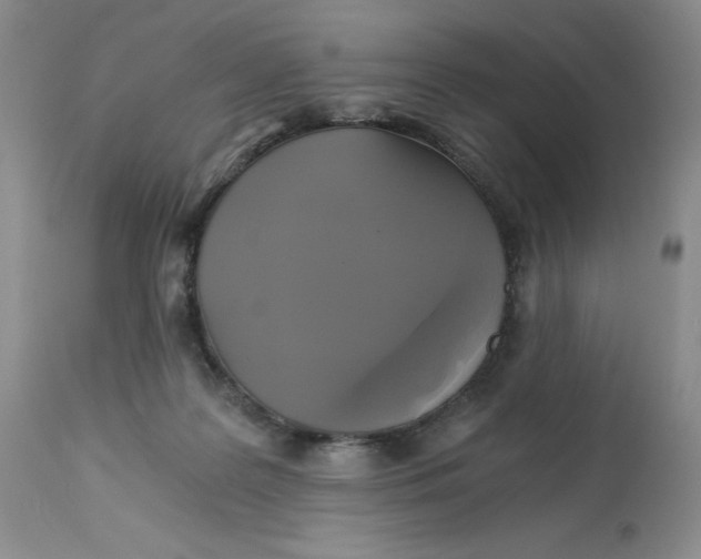 X0000113140219200909251312