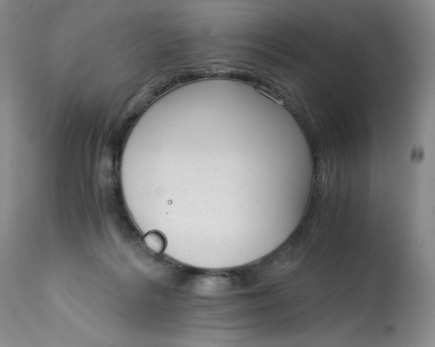 X0000113140220200909251312