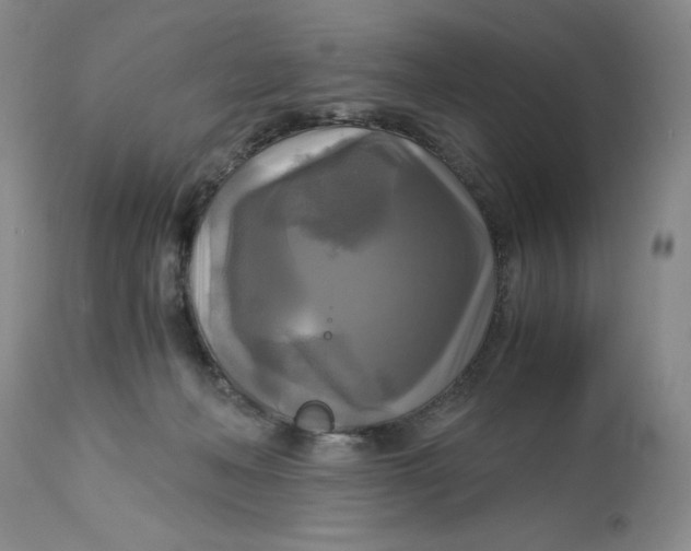 X0000113140222200909251312