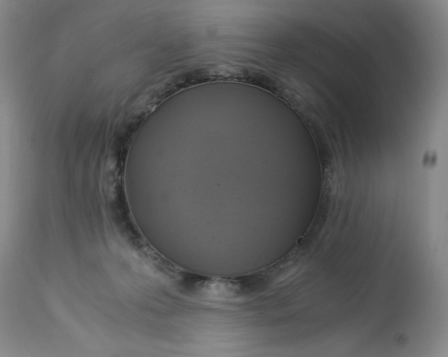 X0000113140223200909251312