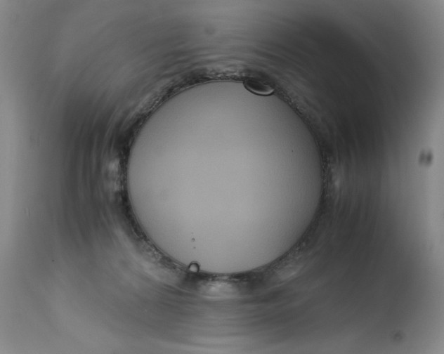 X0000113140224200909251312