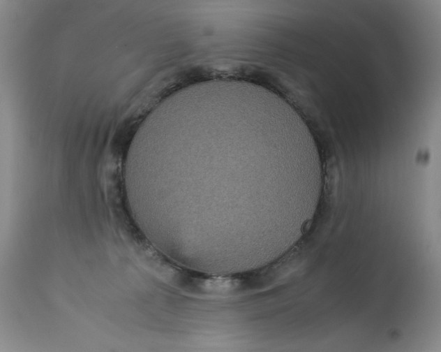 X0000113140225200909251312