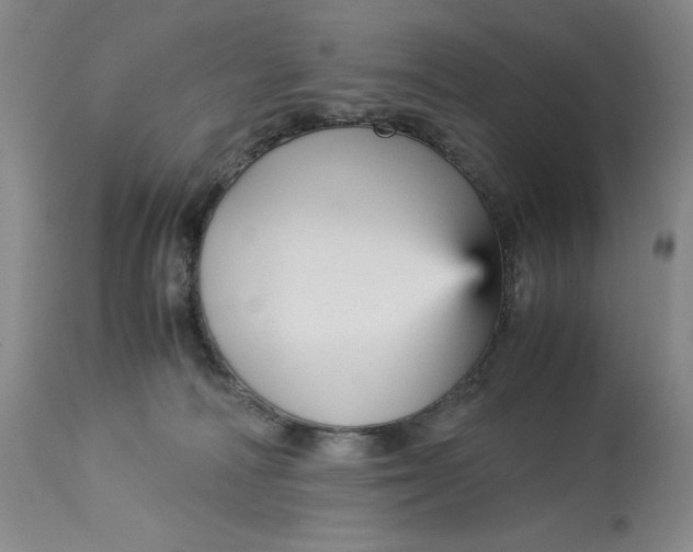 X0000113140226200909251312