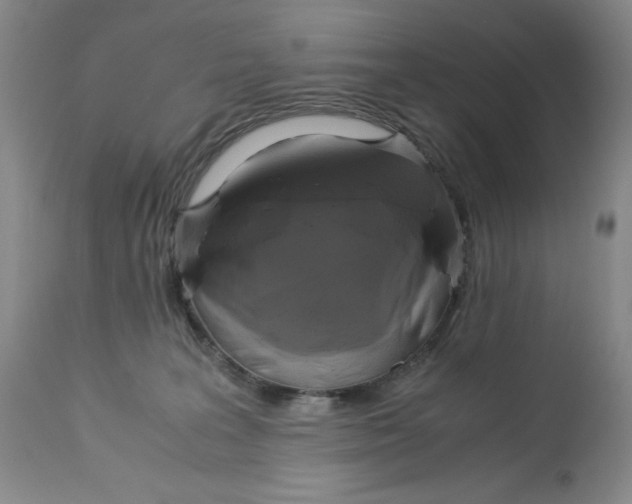 X0000113140227200909251312