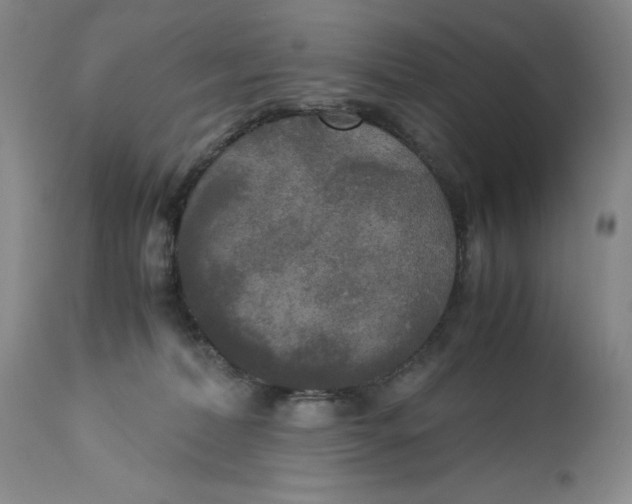 X0000113140228200909251312