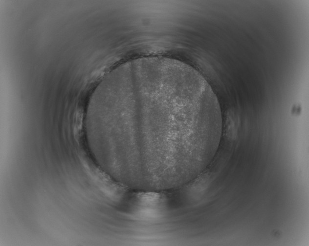 X0000113140230200909251312