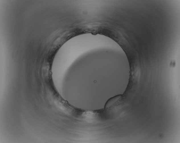 X0000113140231200909251312