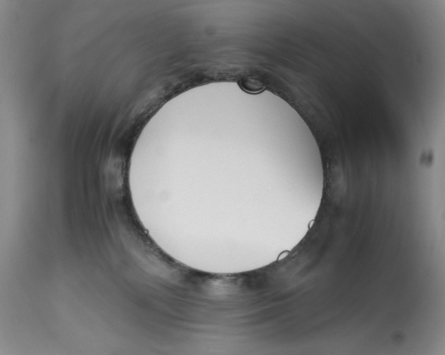 X0000113140232200909251312