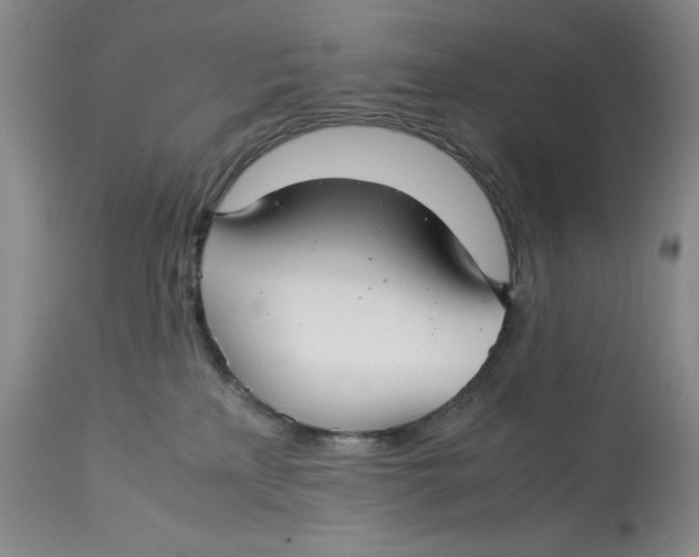 X0000113140233200909251312