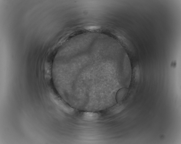 X0000113140234200909251312