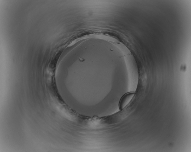 X0000113140235200909251312