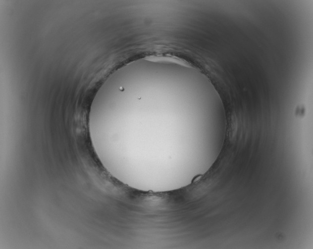 X0000113140236200909251312