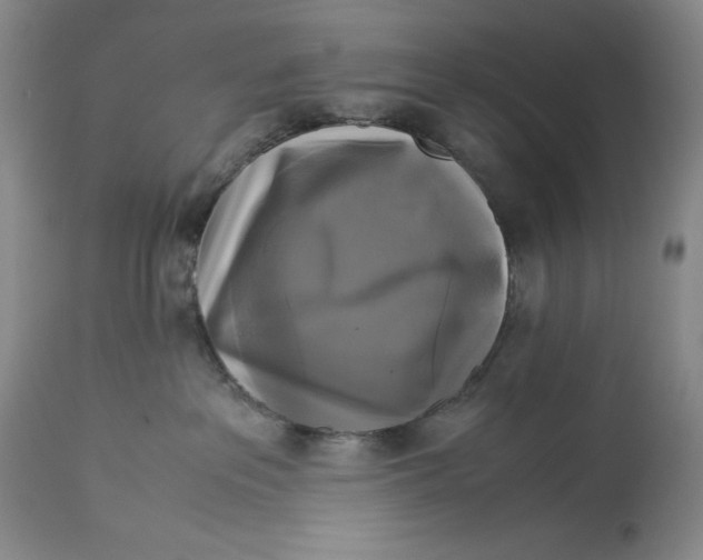 X0000113140237200909251312