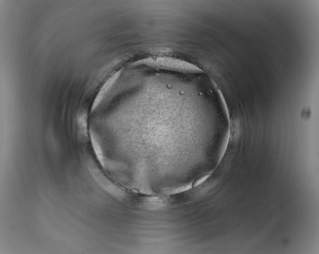 X0000113140238200909251312