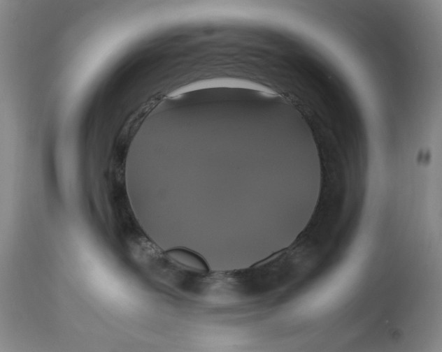 X0000113140239200909251312