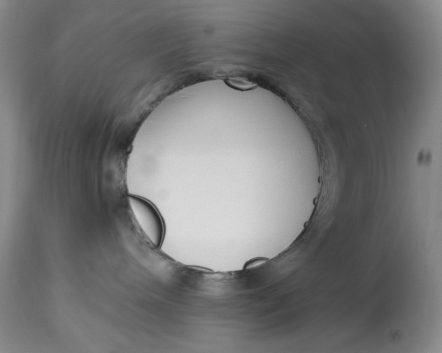 X0000113140240200909251312