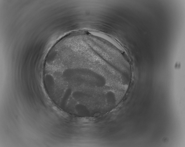 X0000113140241200909251311