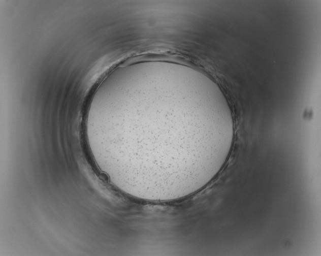 X0000113140242200909251311