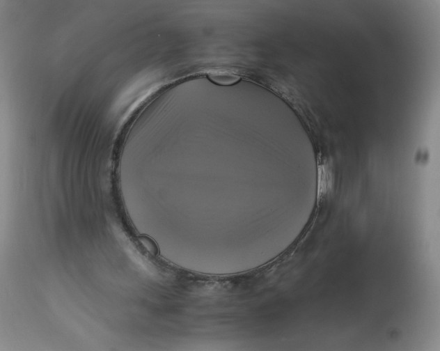 X0000113140243200909251311