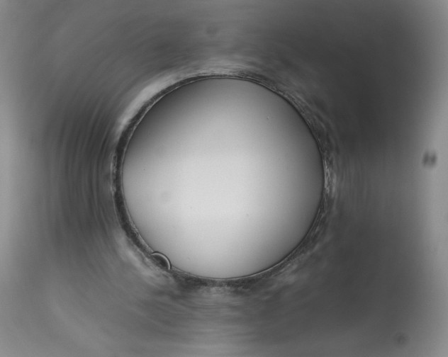 X0000113140244200909251311