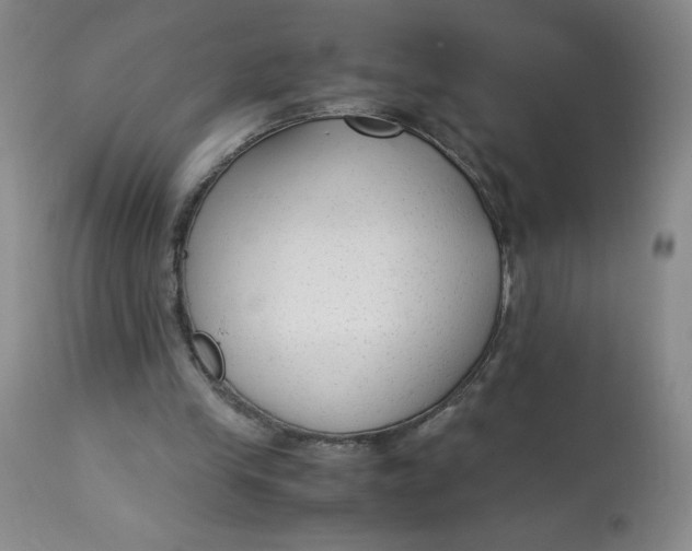 X0000113140245200909251311