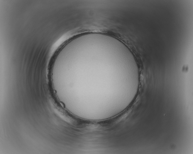 X0000113140246200909251311