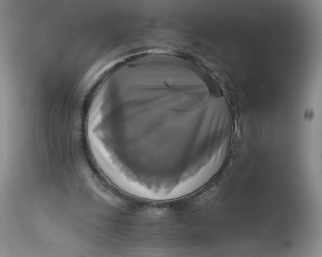 X0000113140247200909251311