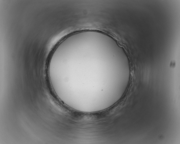 X0000113140248200909251311