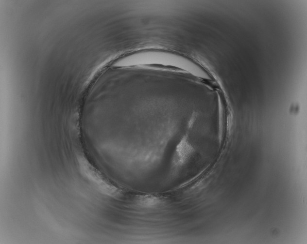 X0000113140249200909251311