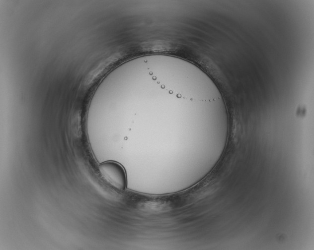 X0000113140251200909251311