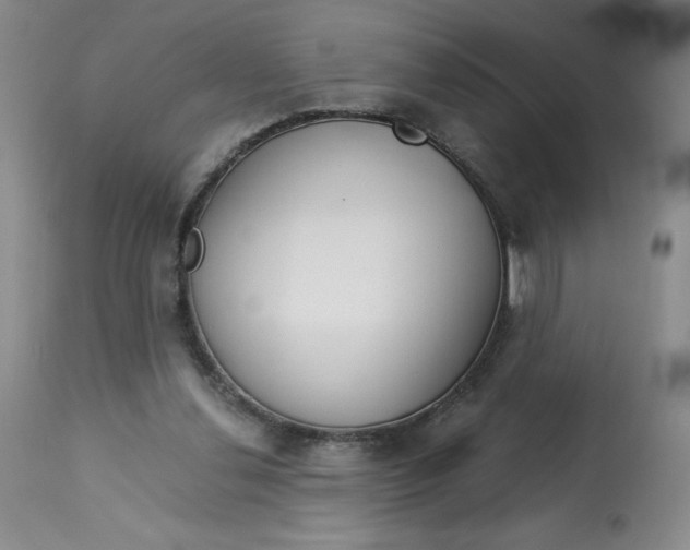 X0000113140252200909251311